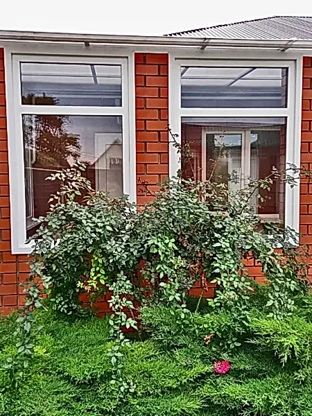 Пластиковые окна с фрамугой в офисном здании.